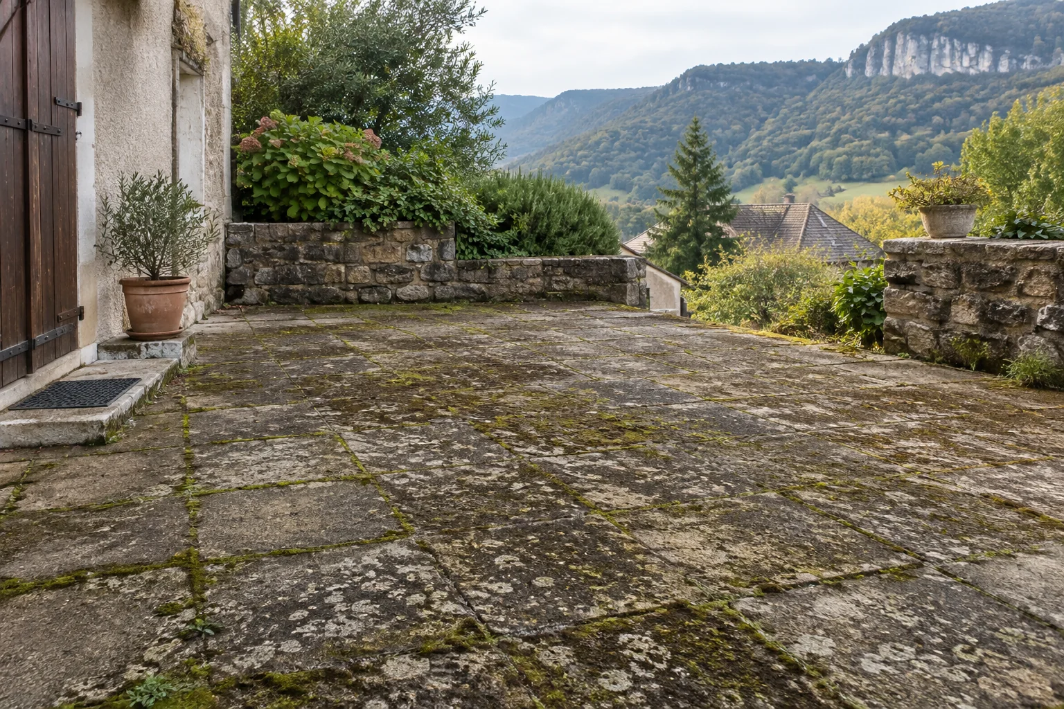 Terrasse en pierre naturelle avant nettoyage avec lichens et mousses